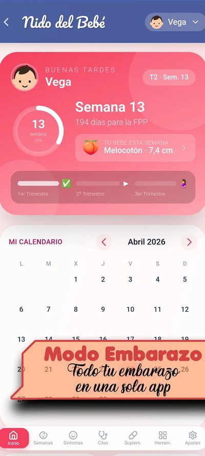 Inicio Modo Embarazo