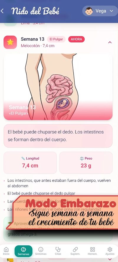 Semana a semana